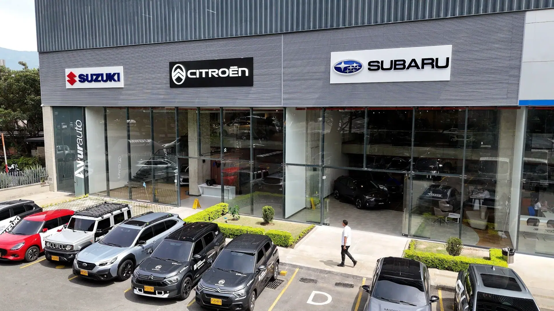 Fachada de vidrio de Ayurauto con los letreros de Suzuki, Citroën y Subaru y carros de esas marcas en el parqueadero
