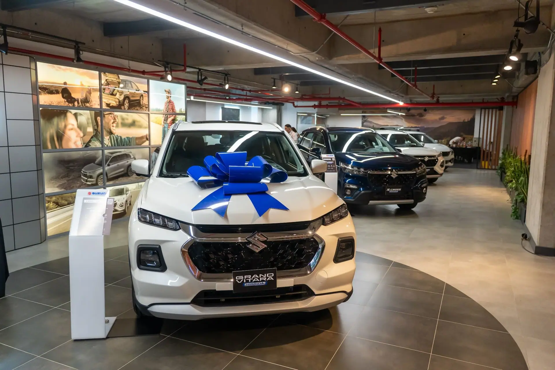 Interior de una vitrina de Ayurauto con un Suzuki Grand Vitara blanco con moño azul en primer plano y otros carros al fondo